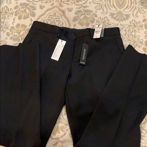 Men’s Express Dress Pants- Photographer